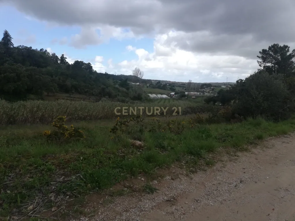 Terreno Agrícola na Zona Oeste - Image 3